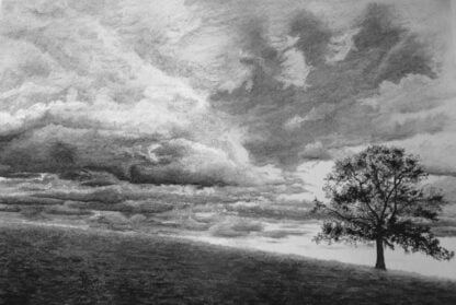 A charcoal drawing of a tree on a hill with interesting clouds