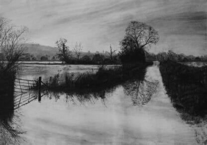 Flooded fields on the Somerset levels 2024 Framed Giclée print