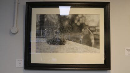 Life on a grave an original charcoal artwork by Bob Iles