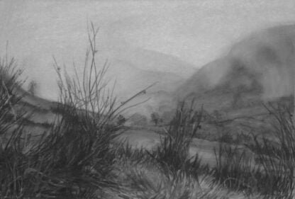 A charcoal drawing called Seatoller mist and Sedge grass 2 2023