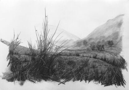 A charcoal drawing of Seatoller mist and Sedge grass 1